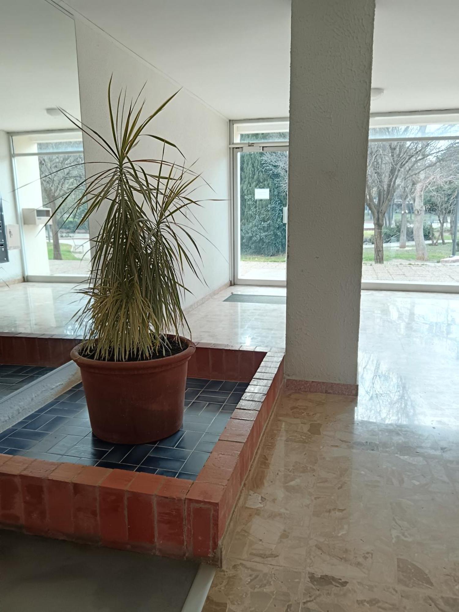 Studio Tout Confort Avec Ascenseur Balaruc-les-Bains Exterior foto